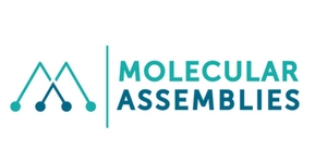 Molecular Assemblies